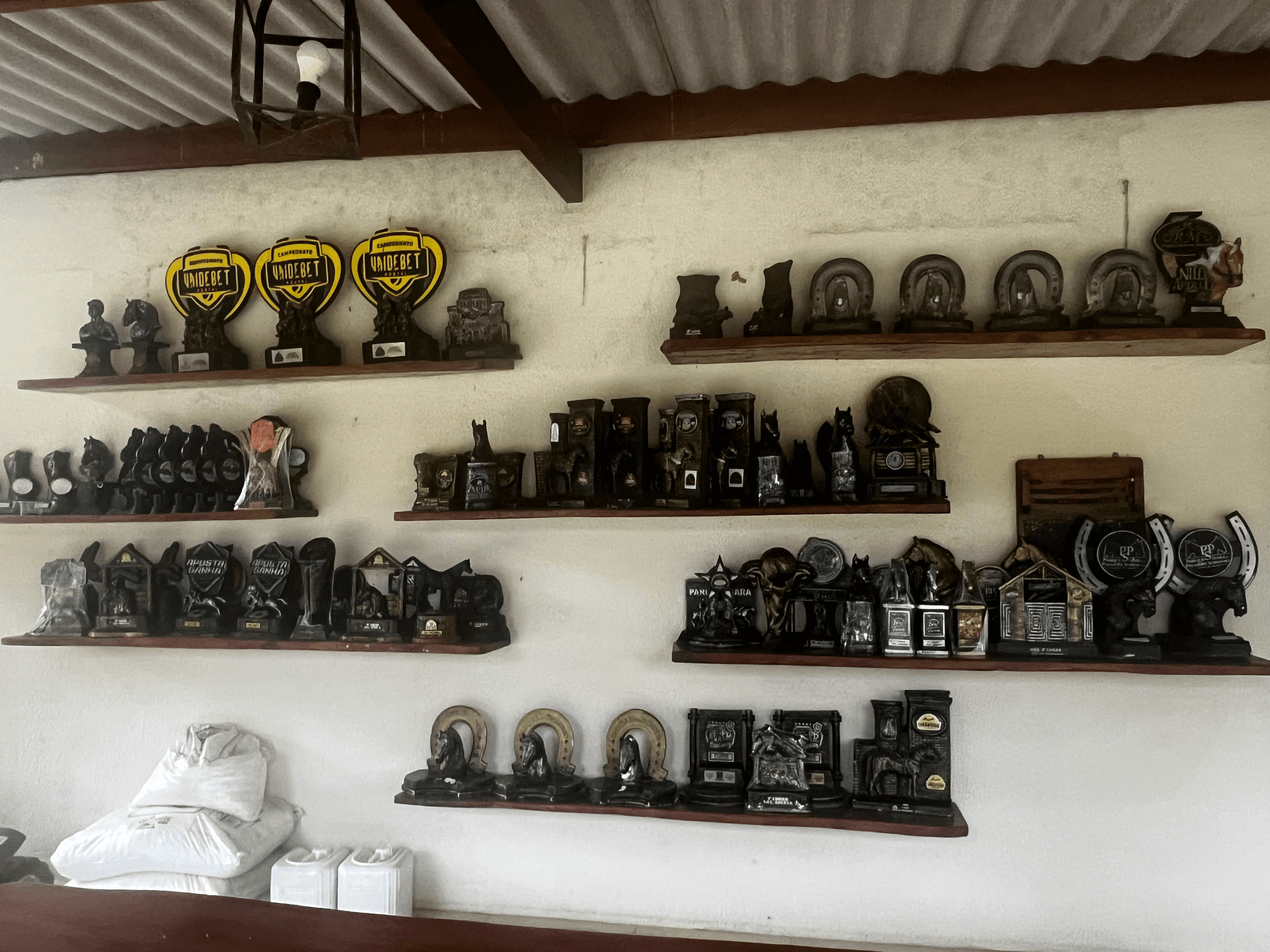 🔴 Henryeta Bryan Jeck - AO VIVO