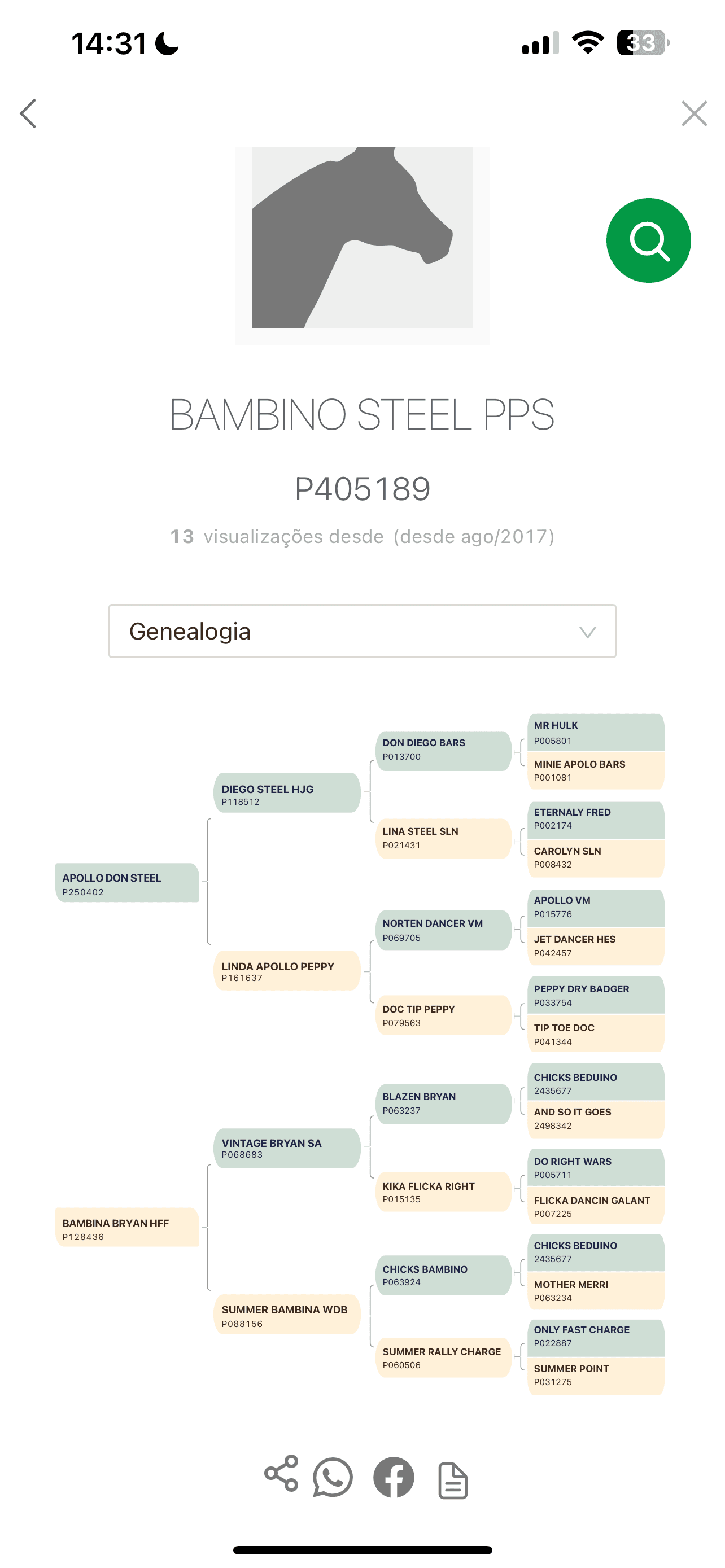 Documentação do Bambino Steel - Registro ABQM