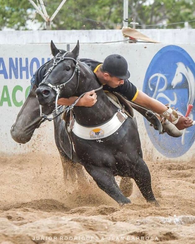 Filhos do Apollo Don Steel