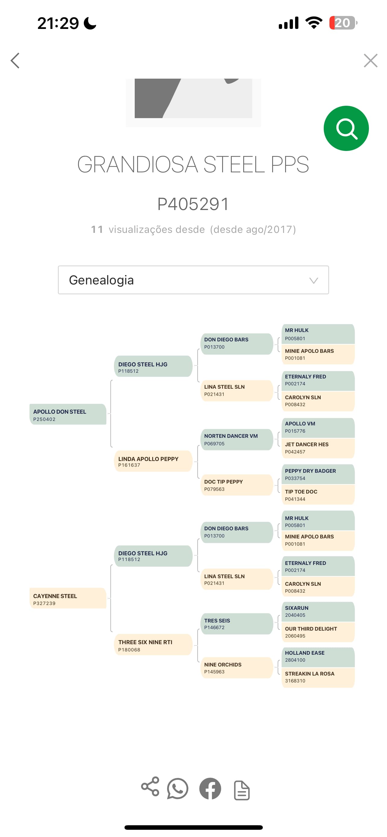 Grandiosa Steel - Documento